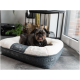 Ein kleiner, schwarzer Hund mit kurzer Schnauze liegt in einem plüschigen, cremefarbenen und grauen Haustierbett und streckt die Zunge heraus.