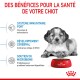 Image promouvant la nourriture pour chiots Royal Canin, mettant en avant les bienfaits pour la santé : système immunitaire fort, développement du cerveau, et soutien du microbiome.