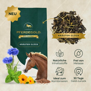 Grüne PFERDEGOLD Goldmüsli-Tüte KRÄUTER GLÜCK mit Pferdekopf, Kräuterhaufen, Blumen und NEU-Badge.