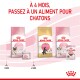 Image des produits de nourriture pour chats Royal Canin : formules Mother & Babycat, Maine Coon, et Kitten, avec une note pour passer à la nourriture pour chatons à 4 mois.