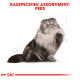Illustratie van een fluffy Perzische kat die rechtop zit met één poot omhoog, tekst erboven leest "Rasspecifiek Assortiment: Pers."