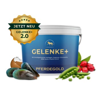 Behälter mit Pferdegold Gelenkergänzungsmittel für Pferde, mit einem Apfel, Muscheln und verschiedenen Kräutern, mit dem Text "Gelenke" deutlich angezeigt.