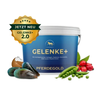 Behälter mit Pferdegold Gelenkergänzungsmittel für Pferde, mit einem Apfel, Muscheln und verschiedenen Kräutern, mit dem Text "Gelenke" deutlich angezeigt.