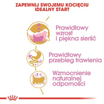 Infografika w języku polskim promująca korzyści z karmy dla kotów: "Idealny start dla kociąt" z korzyściami: wzrost, trawienie i odporność.
