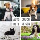 Collage von vier Haustieren: ein Hund im Auto, ein Beagle auf einer Couch, eine schwarze Katze auf einem Bett und ein Cavalier im Freien. Text: "AUTO COUCH BETT REISEN."