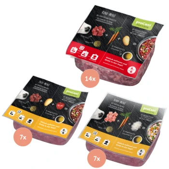 Drei Pakete Haustierfutter von proCani, beschriftet mit "Kind-Menü", "Ente-Menü" und "Huhn-Menü", mit frischen Zutaten und Zubereitungsanweisungen.