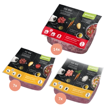 Drei Pakete Haustierfutter von proCani, beschriftet mit "Kind-Menü", "Ente-Menü" und "Huhn-Menü", mit frischen Zutaten und Zubereitungsanweisungen.