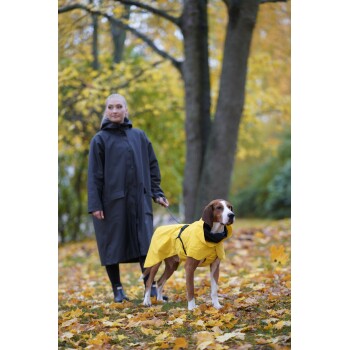 Eine Person in einem schwarzen Regenmantel führt einen Hund, der einen leuchtend gelben Regenmantel trägt, auf einem mit Herbstblättern bedeckten Weg.