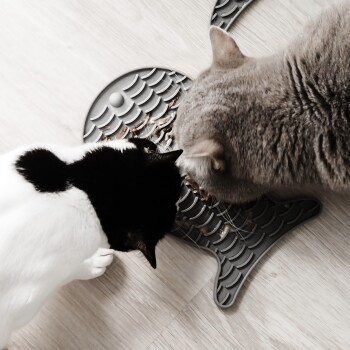 Zwei Katzen, eine schwarz-weiße und die andere grau, fressen von einer fischförmigen Futtermatte auf einem hellen Holzboden.