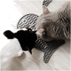 Zwei Katzen, eine schwarz-weiße und die andere grau, fressen von einer fischförmigen Futtermatte auf einem hellen Holzboden.