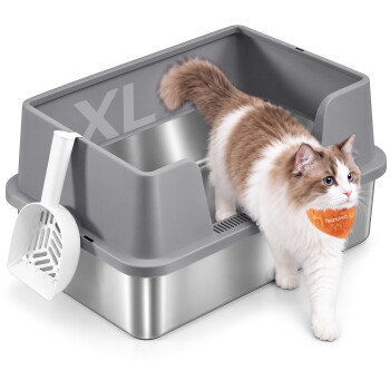 Hellgraue, von oben zugängliche geschlossene Katzentoilette mit Pfotenlüftung und klarer Klappe; gestreifte Katze steigt heraus, orangefarbene Katze lugt hinein, Schaufeln und Matte inklusive.