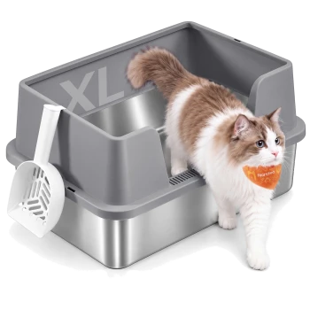 Hellgraue, von oben zugängliche geschlossene Katzentoilette mit Pfotenlüftung und klarer Klappe; gestreifte Katze steigt heraus, orangefarbene Katze lugt hinein, Schaufeln und Matte inklusive.
