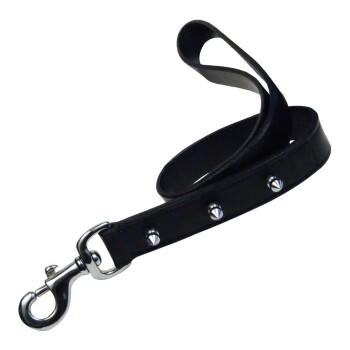 Hundeleine Schwarz 60 cm