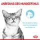 Eine zufriedene graue getigerte Katze mit geschlossenen Augen, begleitet von einem deutschen Text, der sagt "ANREGUNG DES MUNDGEFÜHLS" und "Die besondere Textur regt das Mundgefühl von Katzen an."