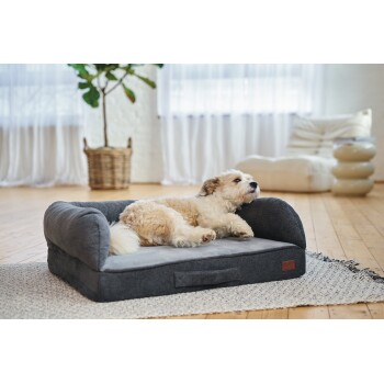 Fluffy tan-and-white dog lying on a gray bolster dog bed with small leather tag in a bright living room.