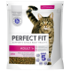 Emballage de nourriture pour chats présentant un chat tigré, étiqueté 'Perfect Fit' avec 'Soutient la santé globale', 'Adulte 1+' et 'Riche en saumon frais.'