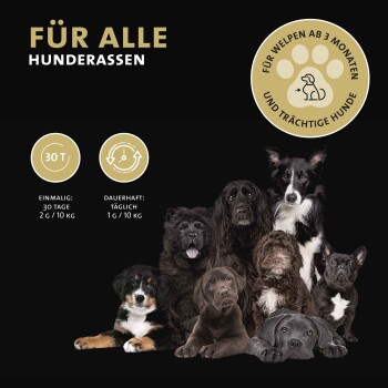 Peticare Detox Entgiftung Pulver für Hunde, reinigende Formel | 125 gr