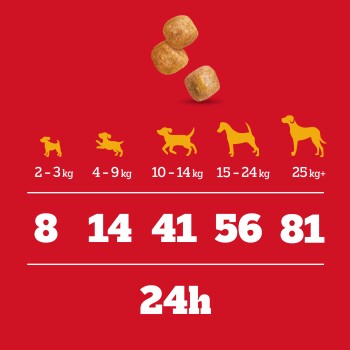 Fütterungsanleitung für Hundefutter nach Gewichtskategorien von 2-3 kg bis 25+ kg mit empfohlenen Tagesportionen in Gramm.