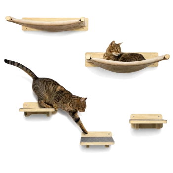 Zwei getigerte Katzen auf wandmontierten Holzregalen und einer Stoffhängematte; eine liegt entspannt in der Hängematte, die andere streckt sich zwischen den Plattformen