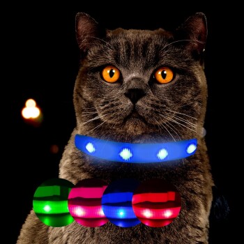 Eine Nahaufnahme einer grauen Katze mit auffälligen orangen Augen, die ein blaues LED-Halsband trägt, begleitet von grünen, rosa und roten Halsbandoptionen darunter.