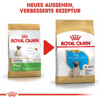 Bild von zwei Royal Canin Hundefutterbeuteln für Möpse, beschriftet "Junior" und "Welpe", die ein neues Design und eine verbesserte Rezeptur zeigen.