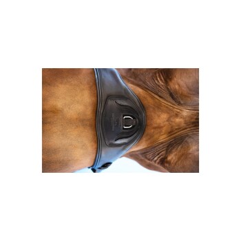 Nahaufnahme des Körpers eines braunen Pferdes, das einen schwarzen Ledergurt trägt, mit dem Schnallen- und geprägten Logodetail.