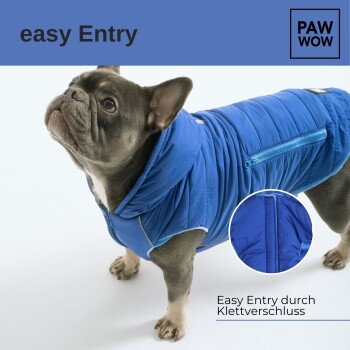 Ein Französischer Bulldogge in einer blauen, kapuzenlosen Daunenjacke mit dem Text "einfache Eingabe" und "Easy Entry durch Klettverschluss."