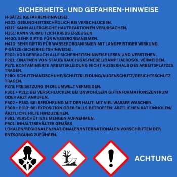 Sicherheits- und Gefahrenhinweise auf Deutsch, die Gesundheitsrisiken, Umweltvorkehrungen und notwendige Schutzmaßnahmen detailliert beschreiben, mit Warnsymbolen.