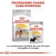 Emballage de nourriture pour chiens Royal Canin Dermacomfort, avec un sac de taille moyenne et un sachet pour toutes tailles, avec un texte mettant en avant une formule réduite en allergènes.
