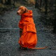 Ein Hund, der einen leuchtend orangefarbenen Regenmantel trägt, sitzt auf einem Kiesweg, umgeben von Bäumen, und zeigt sein stilvolles und funktionales Design.