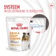 Royal Canin Skin & Coat Chews voor honden, 60 stuks, in hersluitbare verpakking. Hoogtepunten: "Wetenschappelijk Bewezen" en "86% eigenaarstevredenheid."