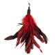 Ein lebhaft rotes und schwarzes Feder-Spielzeug für Katzen mit einem Clip-Anschluss, entworfen, um Haustiere zum Spielen zu animieren.