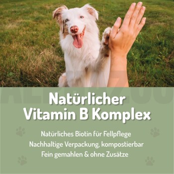 Verpackte Bierhefe für Hunde und Pferde, beschriftet mit "REINE BIERHEFE AUS WESTFALEN", fördert glänzendes Fell und Hautgesundheit.