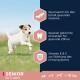 Ein verspielter Seniorhund auf Gras, mit Text über Glucosamin für Gelenke, Trockenfutter für Zahngesundheit und Vitamine E & C für Immunität.