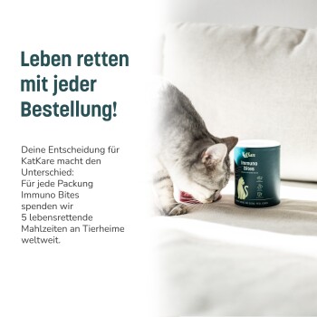 KatKare Immuno Bites Katzensnacks mit Superfood, Antioxidantien, Prä- & Postbiotika und Lachsprotein zur Unterstützung des Immunsystems.