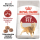 Torba z karmą dla kotów Royal Canin Regular Fit z rudo-kotem, z tekstem podkreślającym zdrowe odżywianie i optymalny przepis.