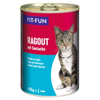 Dose Katzenfutter mit einer getigerten Katze auf dem Etikett, mit dem Text 'FIT+FUN RAGOUT mit Seelachs' und '415g e' am unteren Rand.