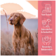 Brauner Hund steht auf einem Feld bei Sonnenuntergang mit Text „Viel Fleisch“, „Getreidefrei & Zuckerfrei“ und „Besonders Bekömmlich“ auf rosa Hintergrund.