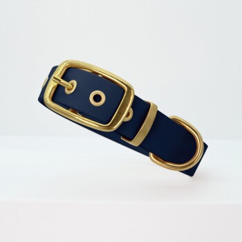 Marineblauer Haustierhalsband mit einer goldenen Schnalle und Beschlägen, vor einem hellen Hintergrund präsentiert.