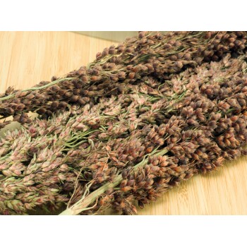 Getrocknete Bündel aus natürlichem Haustiergras mit kleinen, gruppierten Samenständen, die auf einer Holzoberfläche ruhen.