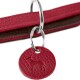 Nahaufnahme eines roten Leder-Hundehalsbands mit einem silbernen Metallring und einem runden roten Schild mit einer geprägten Hundesilhouette.
