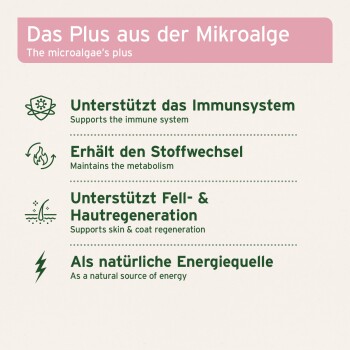 Infografik: 'Das Plus aus der Mikroalge' — unterstützt das Immunsystem; erhält den Stoffwechsel; fördert Haut- und Fellregeneration; natürliche Energiequelle.