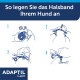 Vier-Schritte-Illustration zum Anlegen eines Hundehalsbands. Sichtbarer Text: 'So legen Sie das Halsband Ihrem Hund an', 'ADAPTIL Calm'.