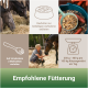 Bild von Fütterungsempfehlungen für Pferde: Pferd frisst Heu, Mischfutter mit Karotten, Löffel und Waage. Text zu Fütterungsempfehlungen enthalten.
