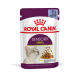 Royal Canin Sensory Smell Katzenfutterbeutel, 85g, mit einem Katzenbild und Stücken in Gelee, fördert die gesunde Ernährung von Katzen.