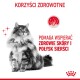 Puszysty kot z niebieskimi oczami siedzi na białym tle, z tekstem o korzyściach dla zdrowia skóry i blasku sierści.
