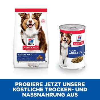 Hill's Science Plan Hundefutter für reife Erwachsene 7+, mit einem Beutel Trockenfutter und einer Dose Nassfutter, mit einem blauen Banner, das die Produkte bewirbt.