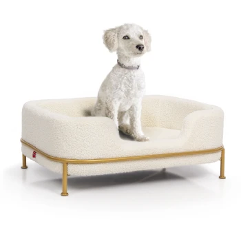 Hundebett Windsor weiß Ein flauschiger weißer Hund sitzt bequem auf einem stilvollen, cremefarbenen Haustierbett mit einem goldenen Metallrahmen.