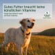 Ein Golden Retriever auf einem grasbewachsenen Feld bei Sonnenuntergang, mit dem Text: "Gutes Futter benötigt keine künstlichen Vitamine" und "Natürliche Zutaten."