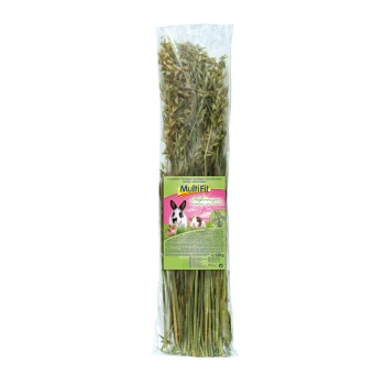 knaagdiersnack haverpluis 120 g Gedroogd hooi voor kleine huisdieren, verpakt in een doorzichtige zak met een kleurrijk label met een konijn en een cavia, 120g.